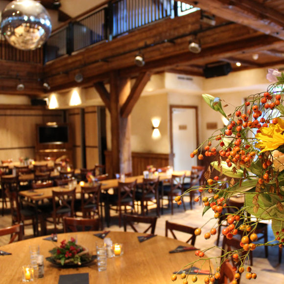 Conferentiezaal in Hilvarenbeek